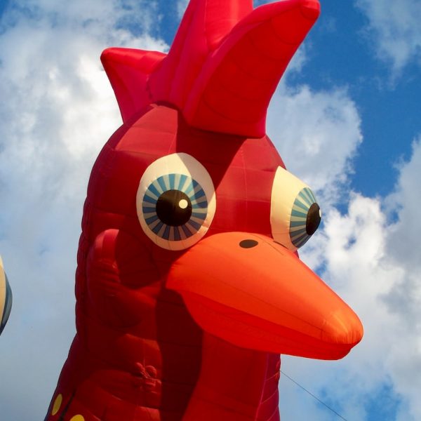 red and yellow inflatable bird